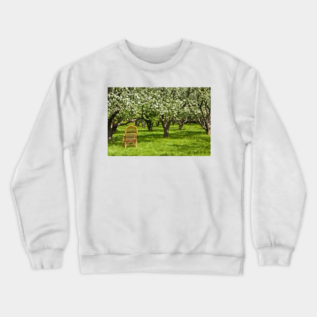 Apple garden Crewneck Sweatshirt by IrinaAfonskaya